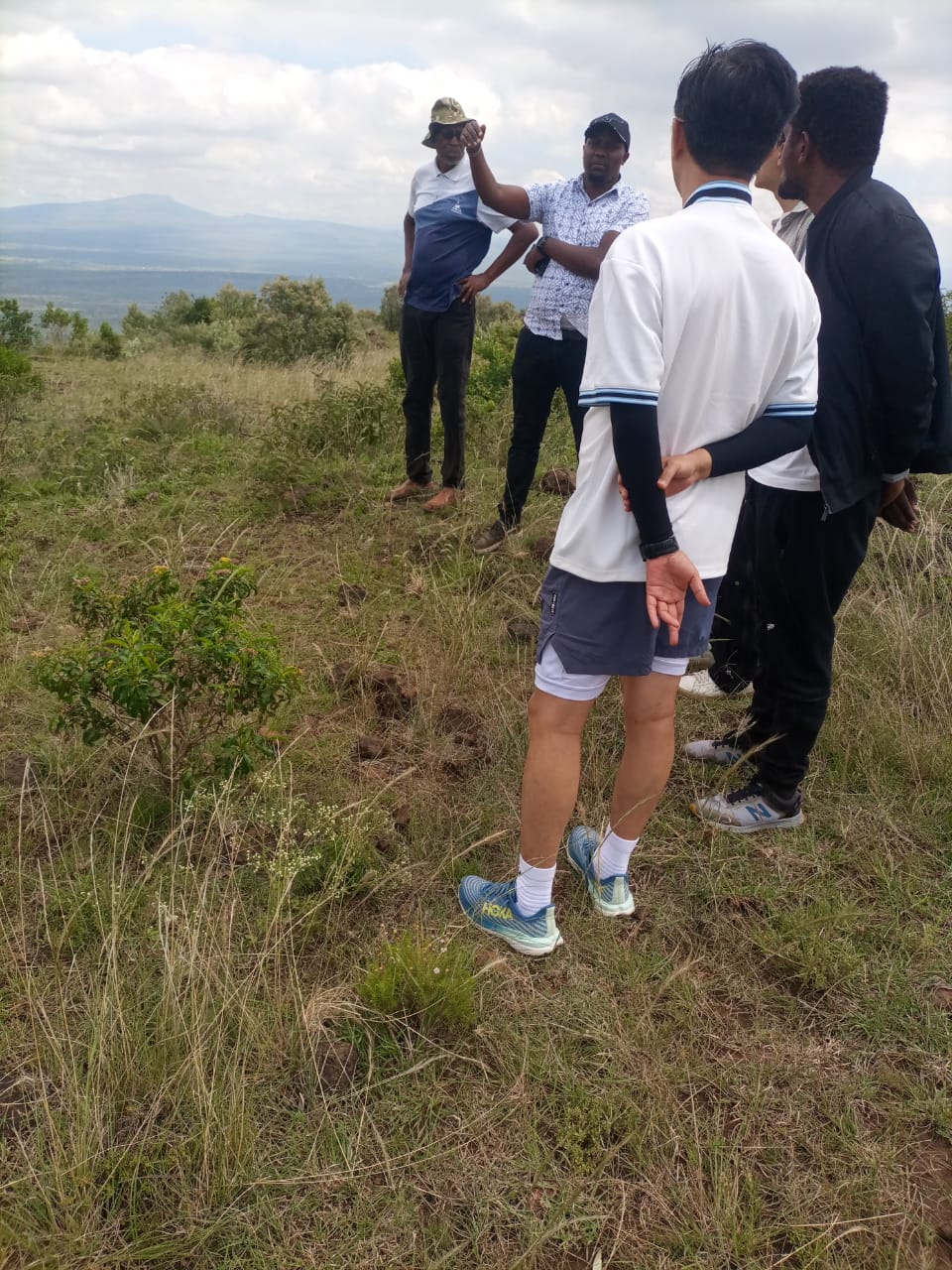 Kenya land survey services